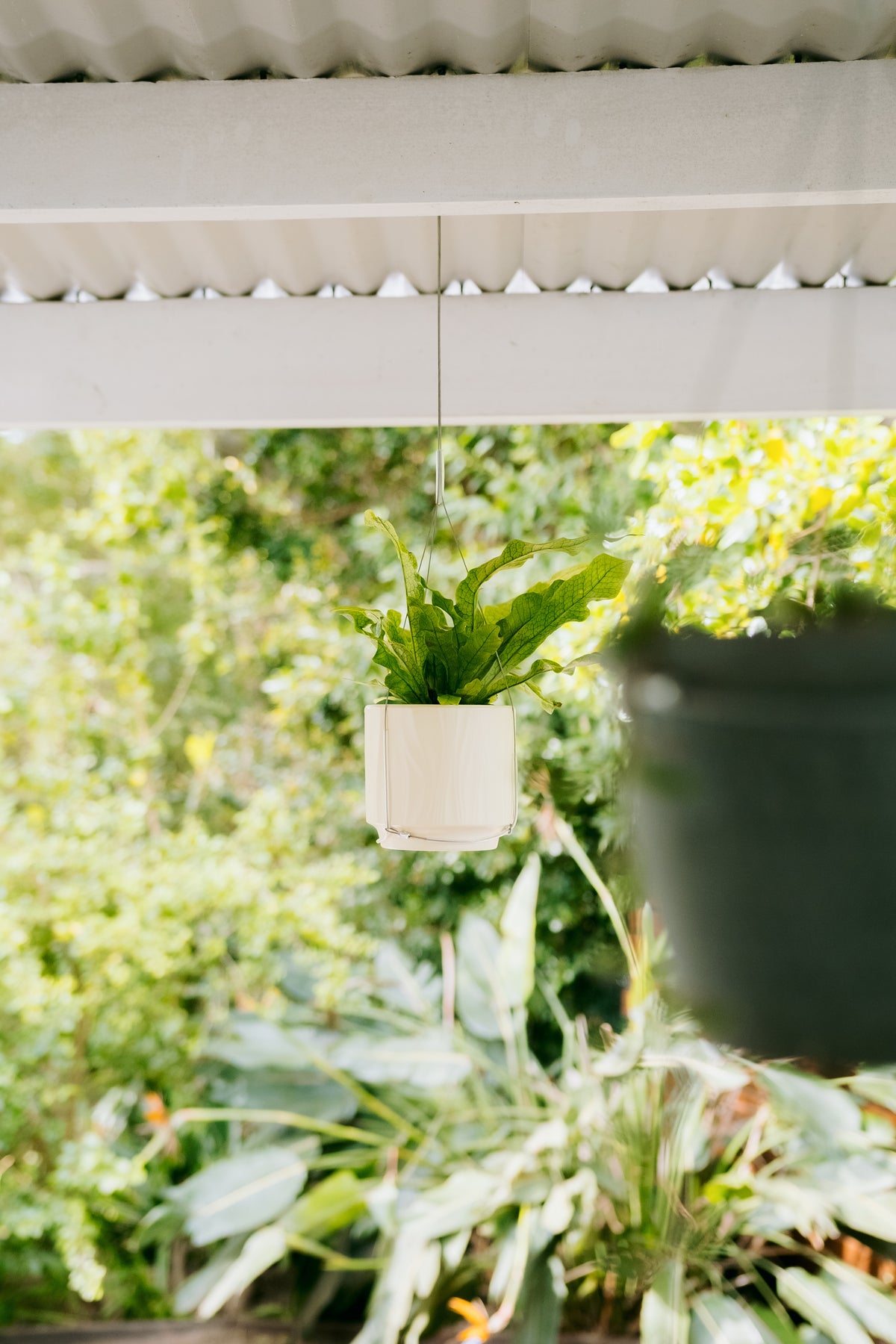 Invisa-Hanger™