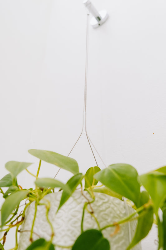 Invisa-Hanger™